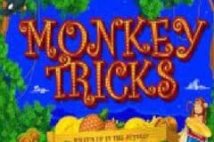 Monkey Tricks